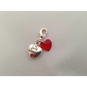 Wedding Clip on Charms (8)